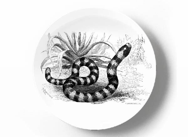 Коралловая сверташка